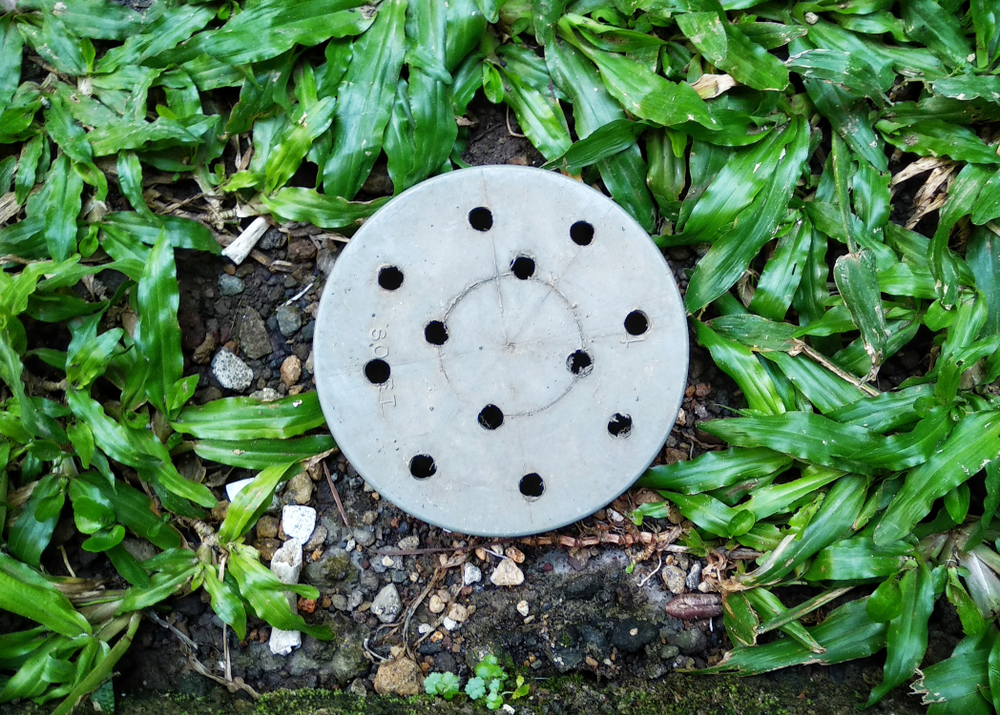 Apa Itu Biopori Pengertian, Manfaat Biopori, dan Cara Membuat Biopori di Rumah